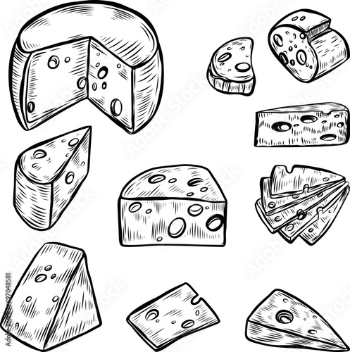 Cheese kinds vector isolated on white background.
