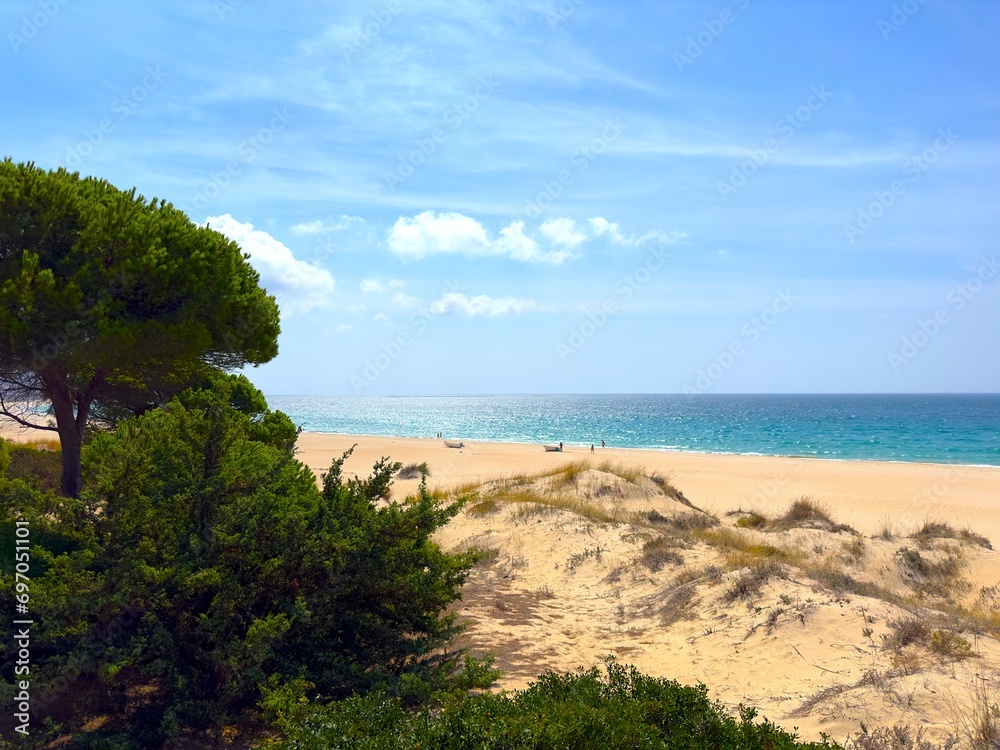 view towards the beautiful beach Playa de Bolonia at the Atlantic Ocean through pines at the Costa de la Luz, Andalusia, Cadiz, Spain view towards the beautiful beach Playa de Bolonia at the Atlantic Ocean through pines at the Costa de la Luz, Andalusia, Cadiz, Spain