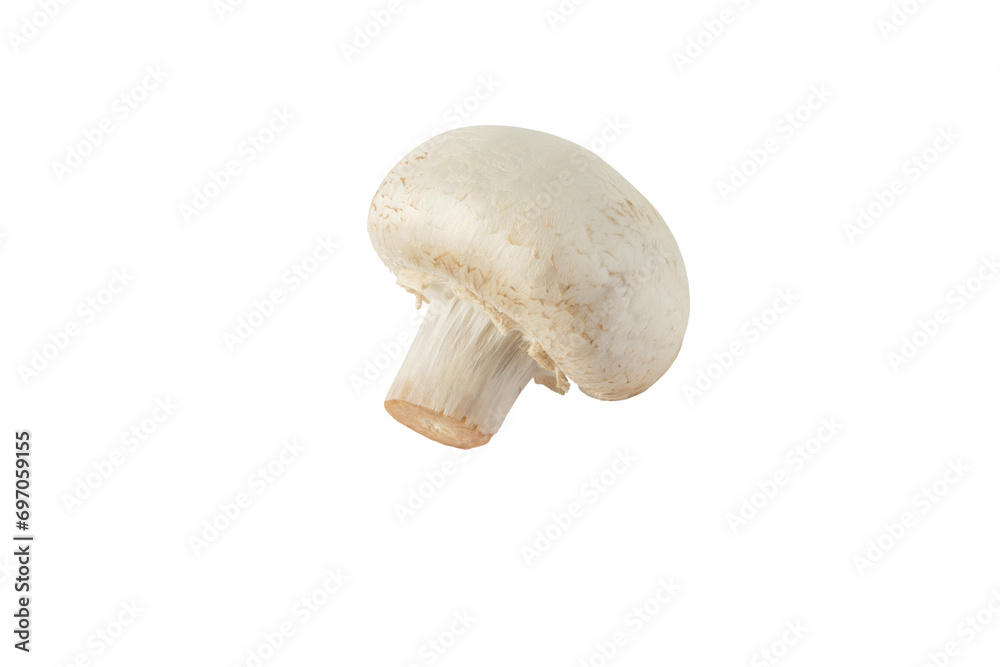 White champignon mushroom button isolated transparent png. Agaricus bisporus. Immature fruit body side view. White champignon mushroom button isolated transparent png. Agaricus bisporus. Immature fruit body side view.