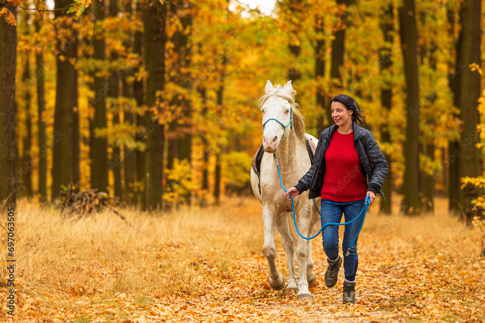 A pretty young woman and a white horse walking along the path through the autumn forest with colourful leaves A pretty young woman and a white horse walking along the path through the autumn forest with colourful leaves