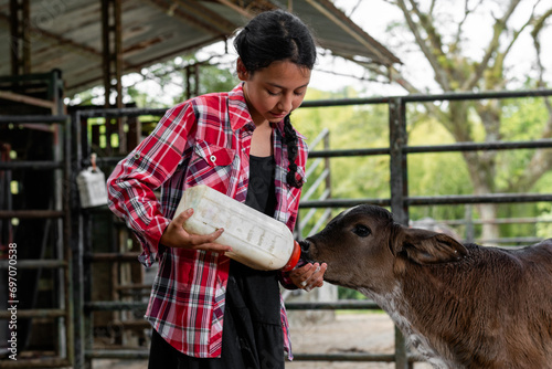 Close-up of Latin peasant girl bottle-feeding a small newborn calf in the corral