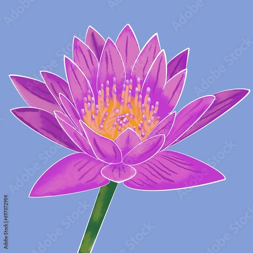 Violet lotus illustration when blossom with purple background. The illustration suitable to use for nature illustration background and botanical content media.
