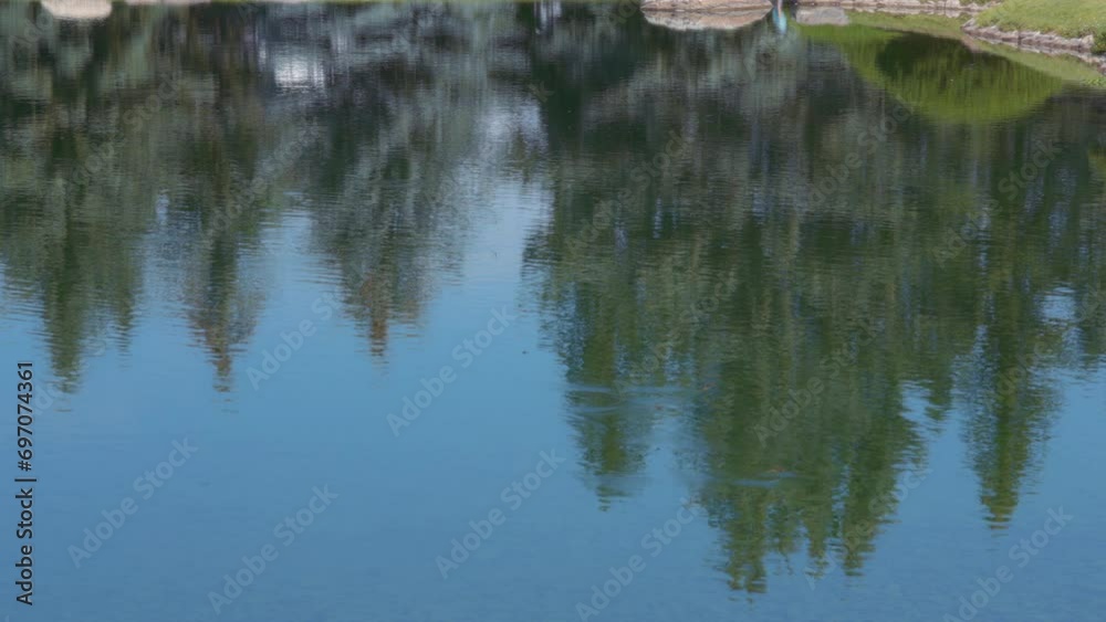 Pond water surface with reflecting green trees. Slow motion. Pond water surface with reflecting green trees. Slow motion.