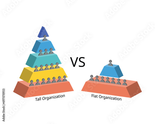 tall and flat organizational structure with wide and small wide spans of control