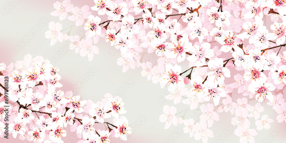 桜　花　春　風景　背景	