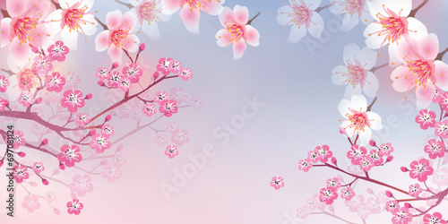 桜　梅　春　風景　背景	