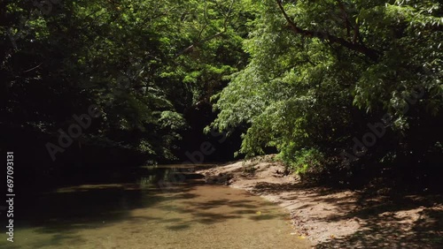 Calmriver in a rainforest photo