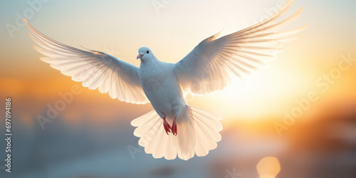 White dove flying in the air with bokeh background. Freedom concept.