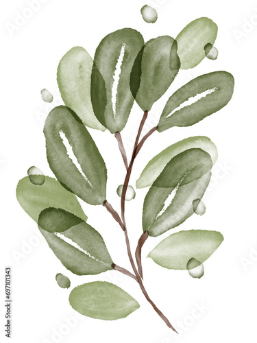 Green Leaf Watercolor Textured Graphic Element
