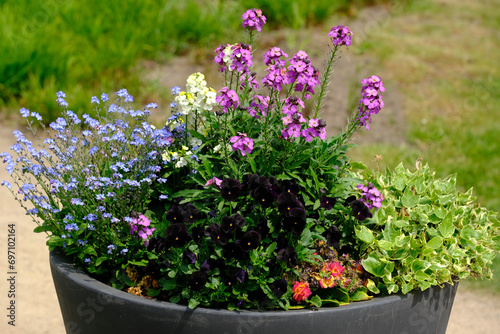 Berlin Germany - Gardens of the World - Seasonal flower container