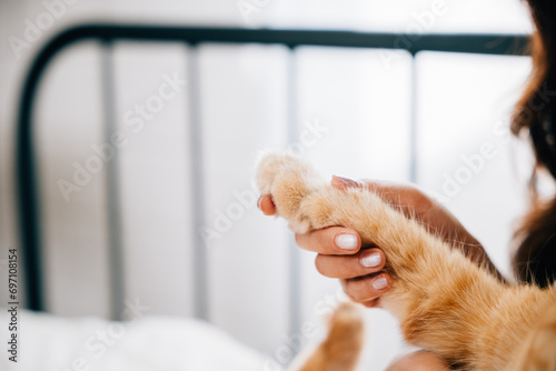 A domestic cat comfortably sleeps in a woman's lap while she holds its paw, their legs touching in harmony. A perfect illustration of the togetherness and support found in a human-feline friendship. photo