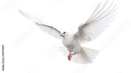 White pigeon isolated on transparent background, Generative ai. photo