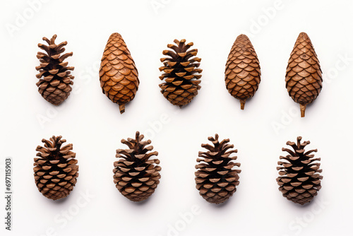 A collection of small pine cone for Christmas tree decoration isolated against a white background. 