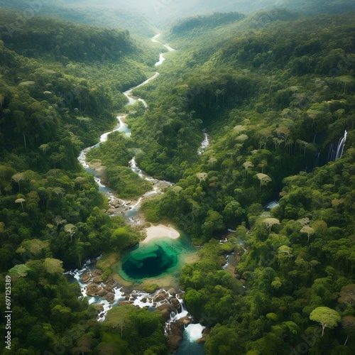 Amazon jungle with a spring water