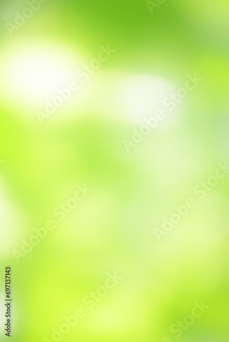 The green leaves are softly blurred. selective focus, Abstract green blurred soft nature background.
