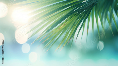 Green palm leaf on blurred background with bokeh effect. Summer concept.