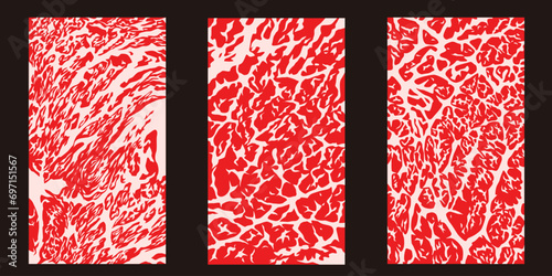 Set Meat marbled background. Vector illustration	