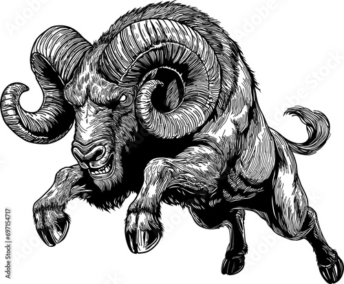 running adult angry ram, black and white vector drawing