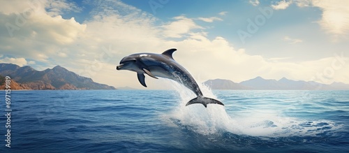 Dolphin leaps in Caribbean waters near Mexico. photo