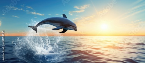 Dolphin leaping in open sea beneath blue sky with sun.