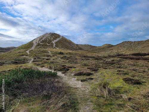 Wydmy w Schoorlse Duinen, Północna Holandia nad Morzem Północnym.