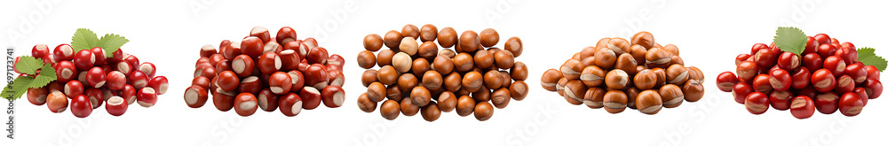 Collection of hazelnuts on a transparent png background Collection of hazelnuts on a transparent png background