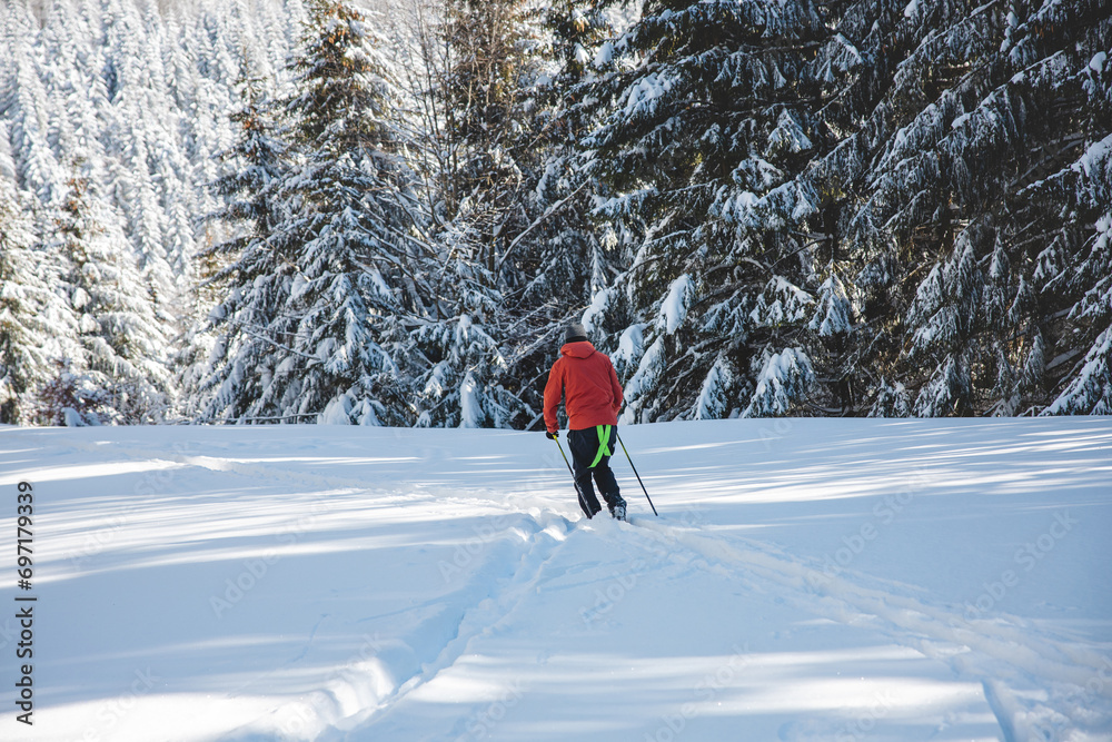 Young adult cross-country skier aged 20-25 making his own track in deep snow in the wilderness during morning sunny weather in Beskydy mountains, Czech Republic