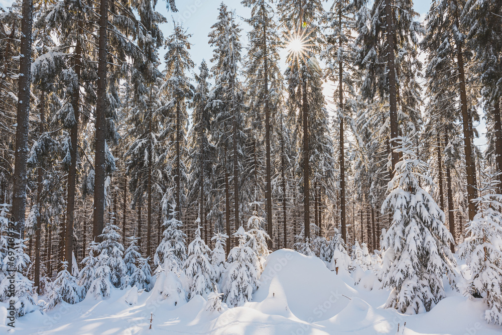 Winter scenery with sun rays reflecting off the glittering snow. Sunrise in a snowy wilderness and woodland. Beskydy mountains, Czech Republic Winter scenery with sun rays reflecting off the glittering snow. Sunrise in a snowy wilderness and woodland. Beskydy mountains, Czech Republic