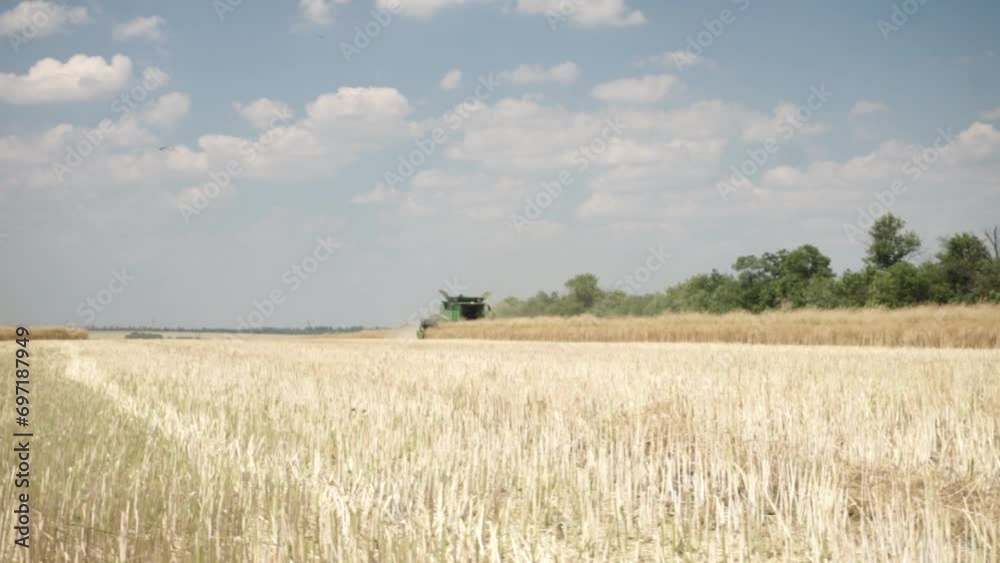 Combine harvesting canola on the field Combine harvesting canola on the field