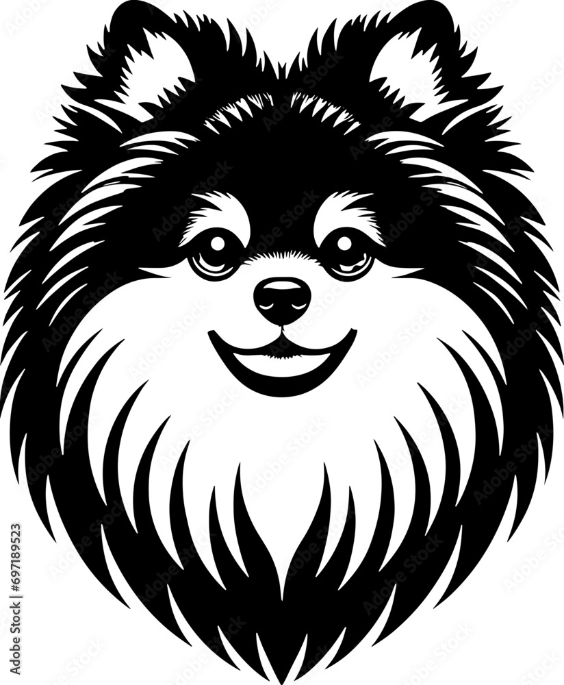 Fototapeta premium Pomeranian Mix icon 11