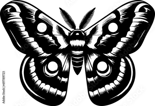 Polyphemus Moth icon 8