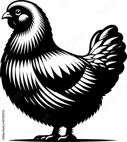 Plymouth Rock Chicken icon