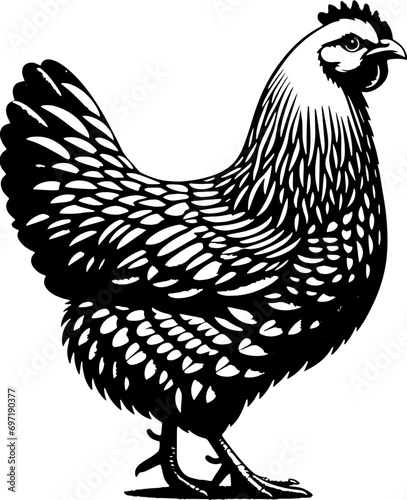 Plymouth Rock Chicken icon 12