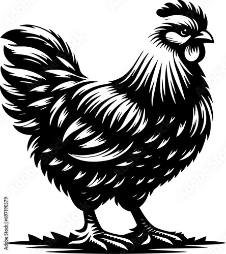 Plymouth Rock Chicken icon 13