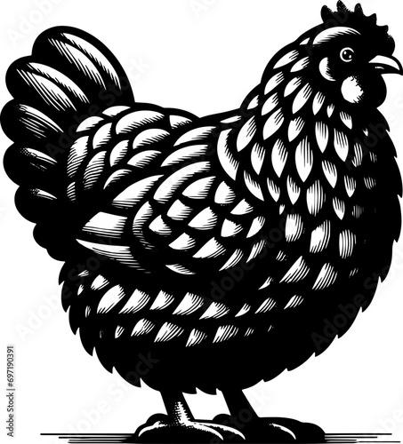 Plymouth Rock Chicken icon 11
