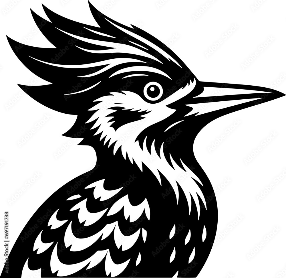 Fototapeta premium Pileated Woodpecker icon 10