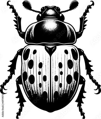 Pinacate Beetle icon 5