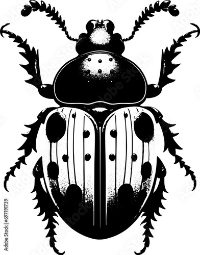 Pinacate Beetle icon 1