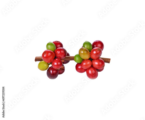  coffee beans transparent png