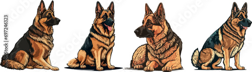 set of german shepherd dog