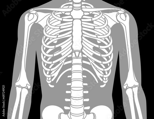 body radiography isolated icon design, vector illustration  graphic 