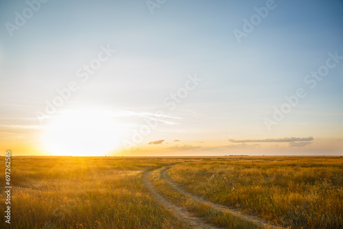 Road through a field with wheat at sunset