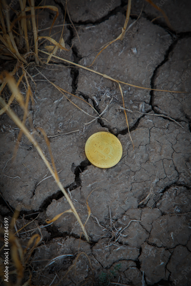 Bitcoin coin lies on dry ground, Bitcoin fall