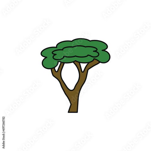 acacia vector type icon