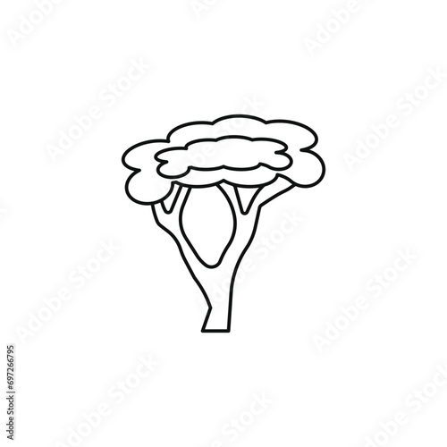 acacia vector type icon