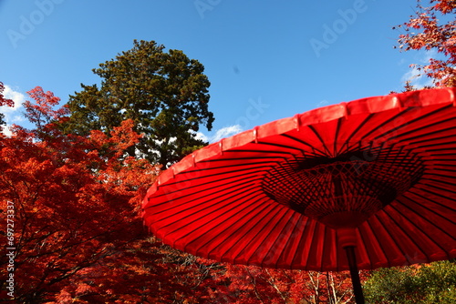秋空