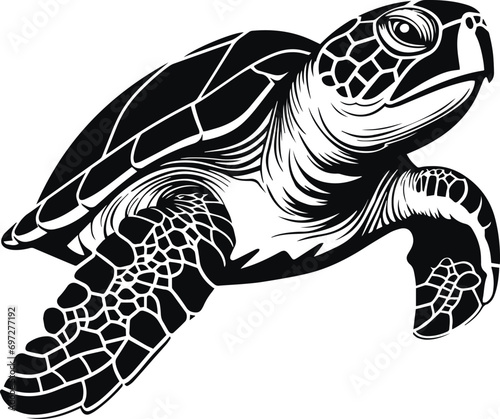 Vector turtle silhouette of a isolated on a white background, Vector illustration