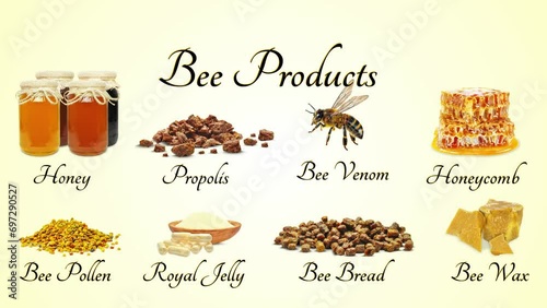 honey, bee bread, bee pollen, royal jelly, propolis isolated photo