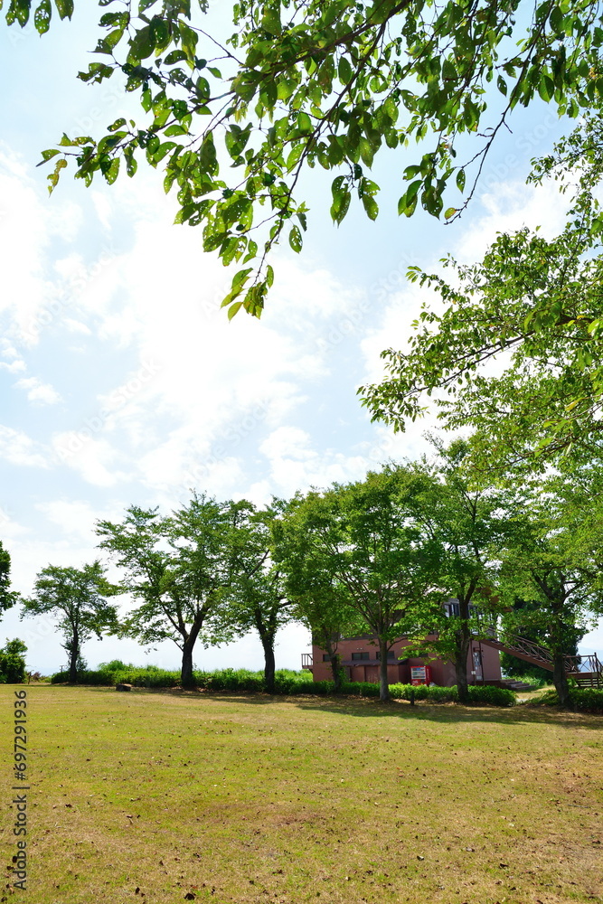 Fototapeta premium 山本山高原展望台(新潟県)