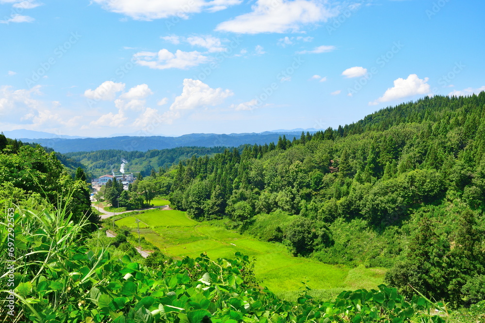 Obraz premium 外之沢の棚田（新潟県）